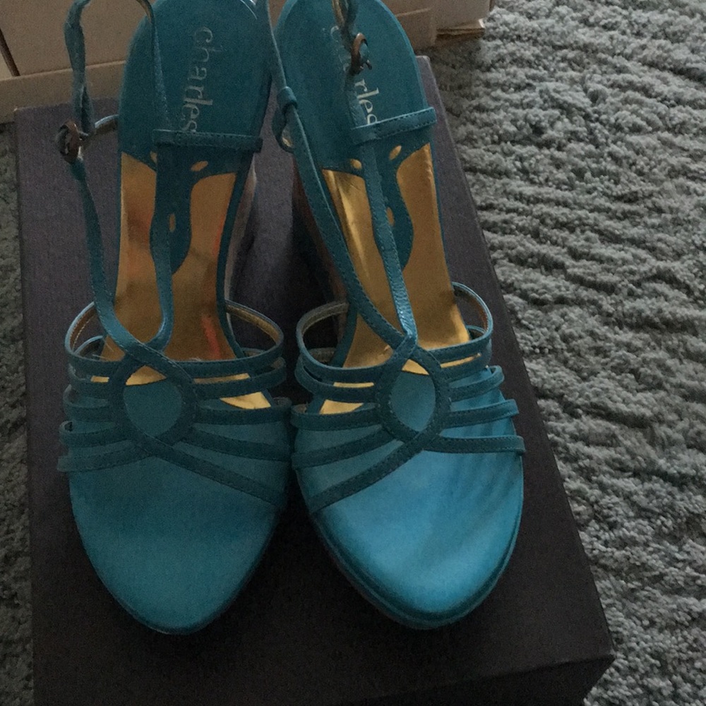 Charles David Turquoise platforms